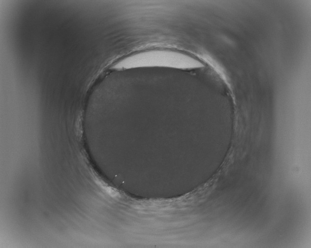 X0000072530009200607290236