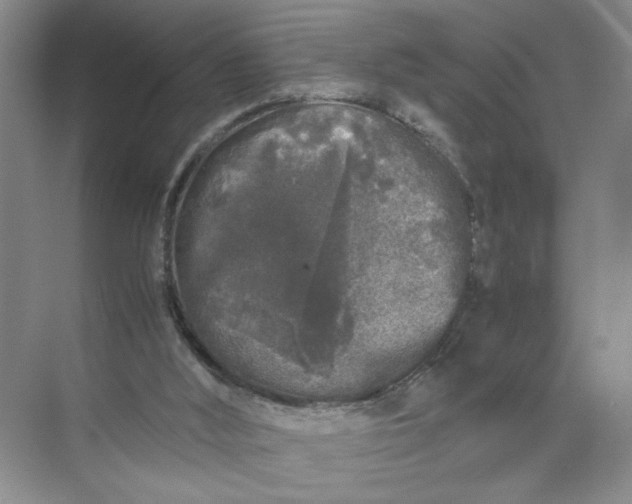 X0000072530012200607290236