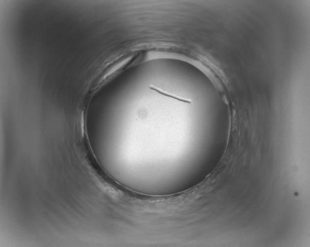 X0000072530013200607290236