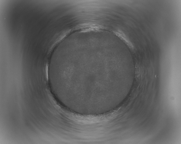 X0000072530014200607290236