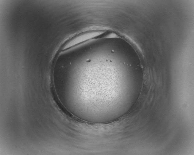 X0000072530015200607290236