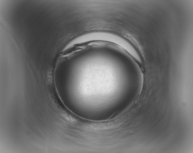 X0000072530017200607290236