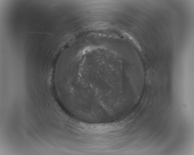 X0000072530018200607290236