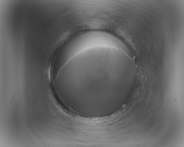 X0000072530019200607290236