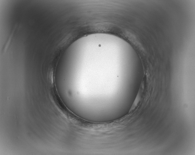 X0000072530021200607290236