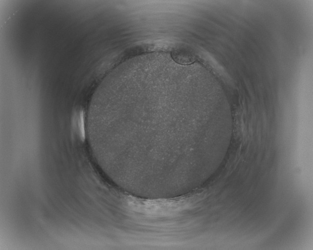 X0000072530022200607290236