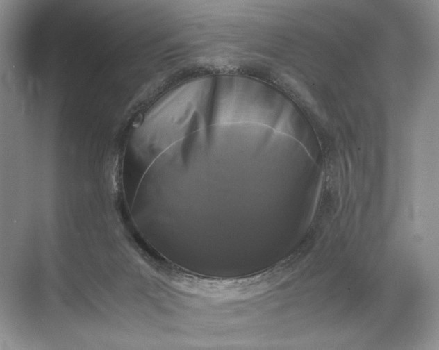 X0000072530023200607290236