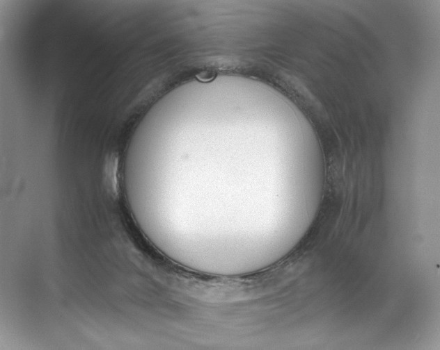 X0000072530024200607290236