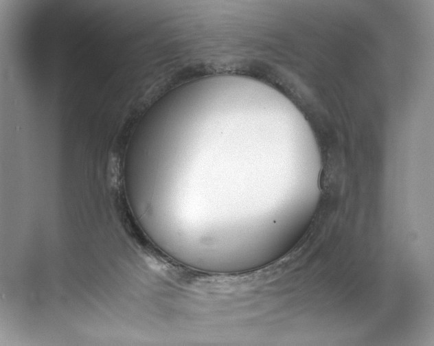 X0000072530025200607290236