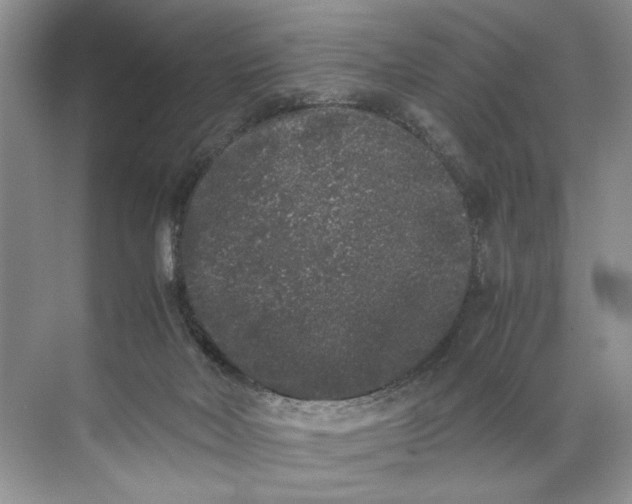 X0000072530026200607290236