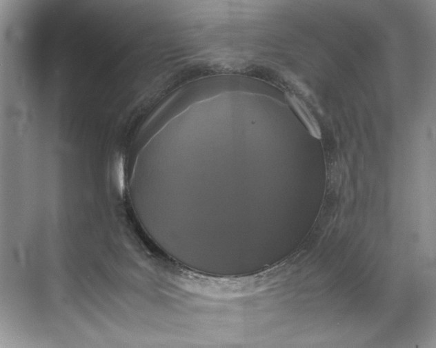 X0000072530027200607290236