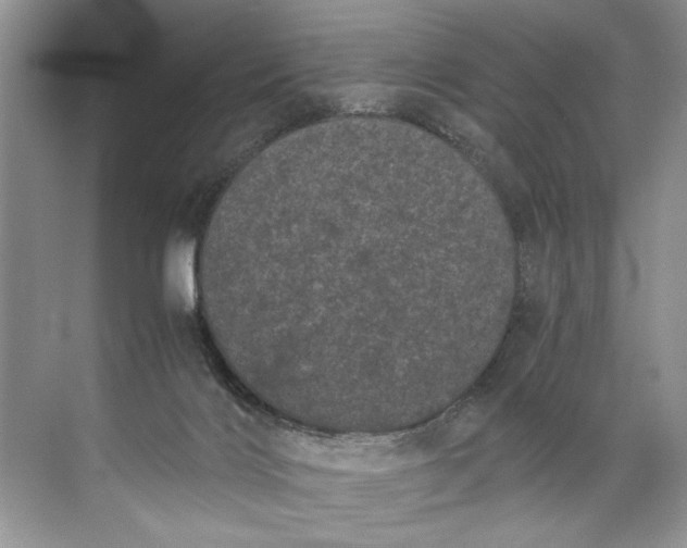 X0000072530028200607290236