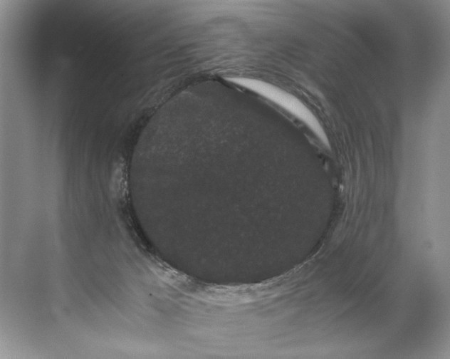 X0000072530029200607290236