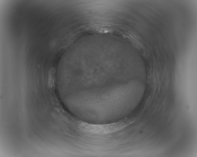 X0000072530030200607290236