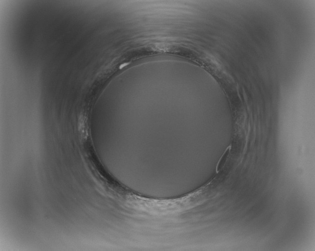 X0000072530031200607290236