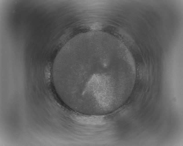 X0000072530032200607290236