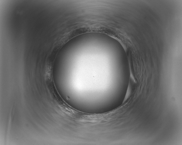 X0000072530033200607290236