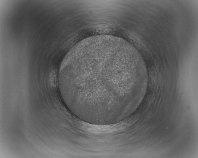 X0000072530034200607290236