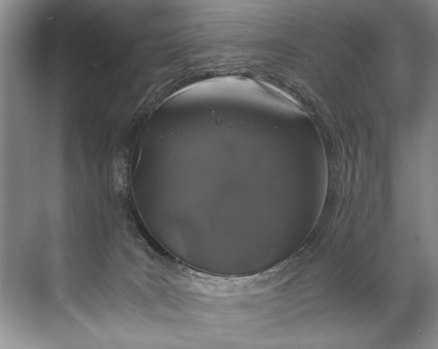 X0000072530035200607290236