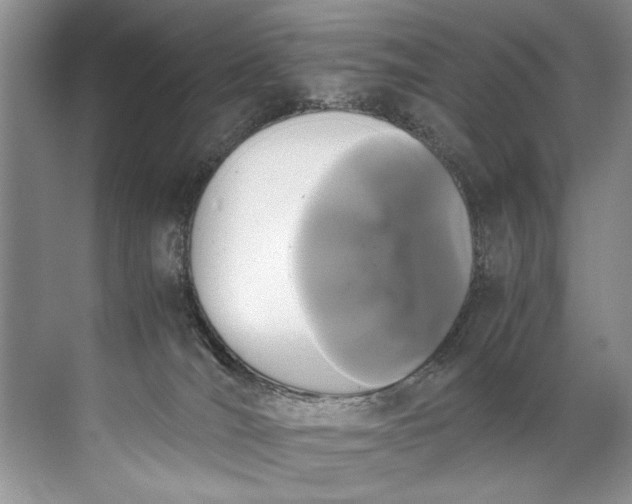 X0000072530036200607290236