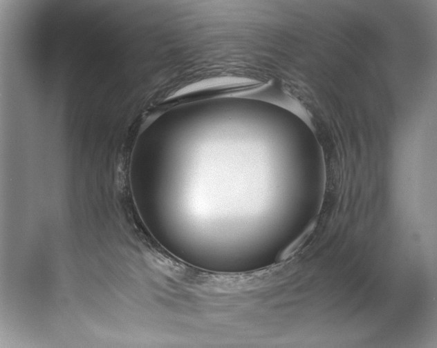 X0000072530037200607290236