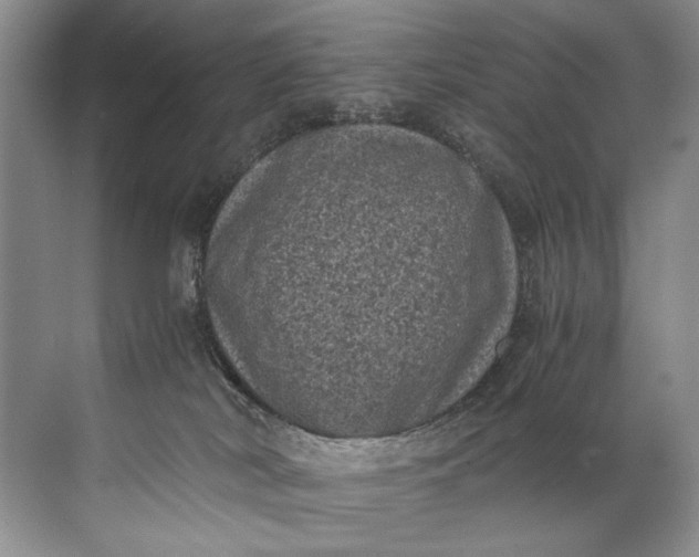 X0000072530038200607290236