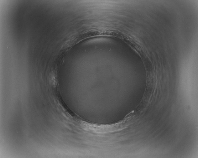 X0000072530039200607290236