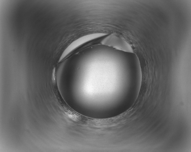 X0000072530041200607290236