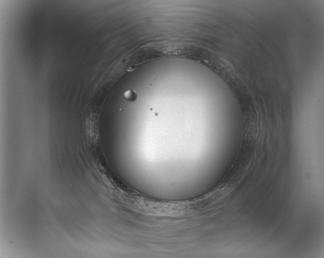 X0000072530044200607290235