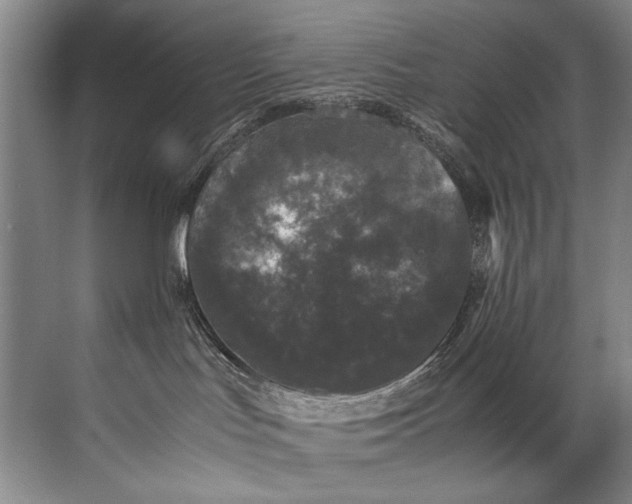 X0000072530047200607290235