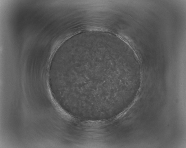 X0000072530049200607290235