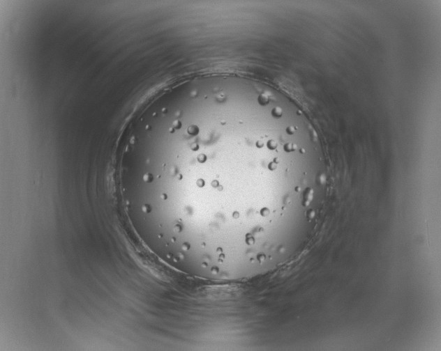 X0000072530050200607290235