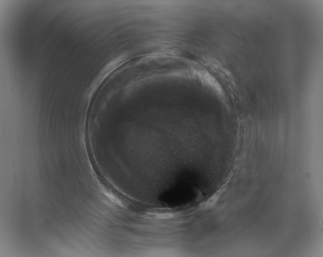 X0000072530051200607290235