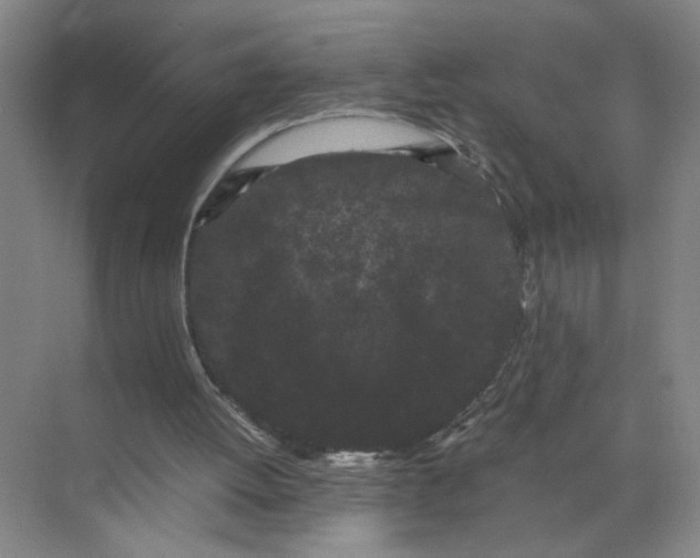 X0000072530052200607290235