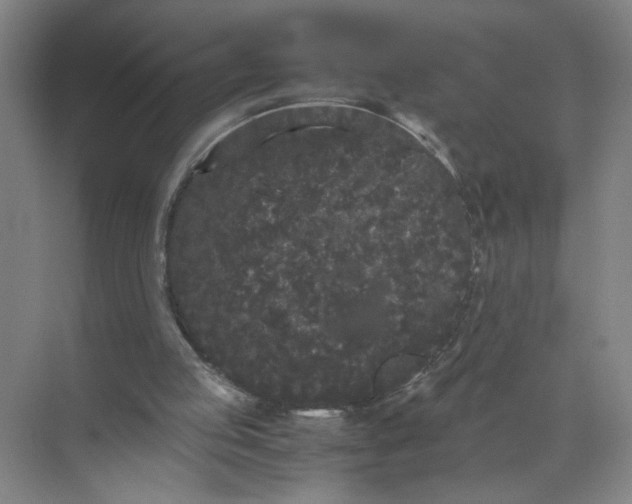 X0000072530053200607290235