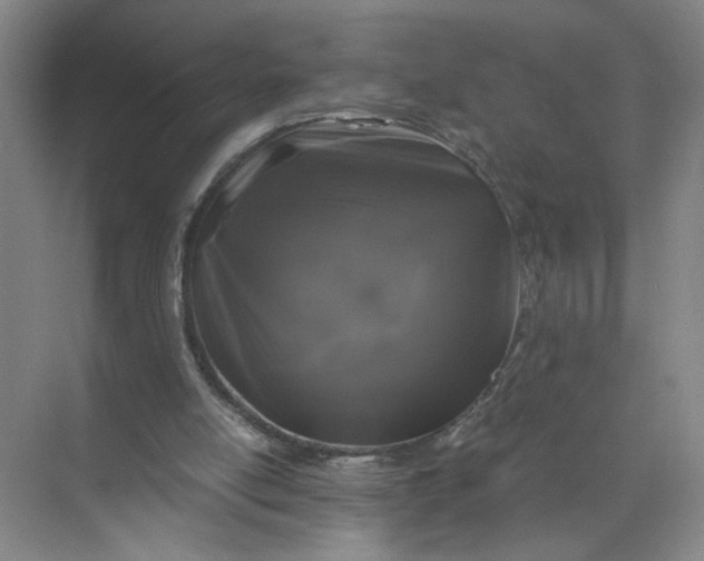 X0000072530054200607290235