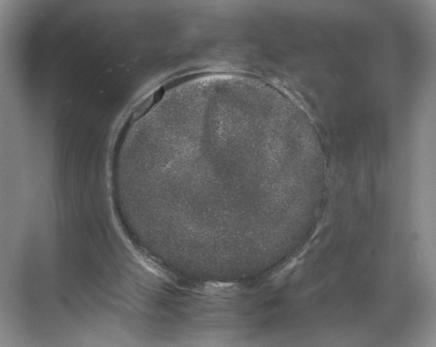 X0000072530055200607290235