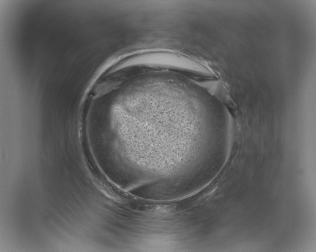 X0000072530056200607290235