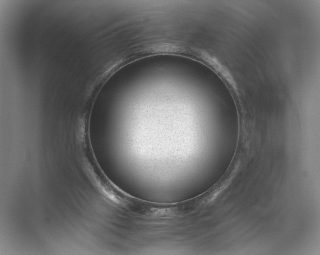 X0000072530057200607290235