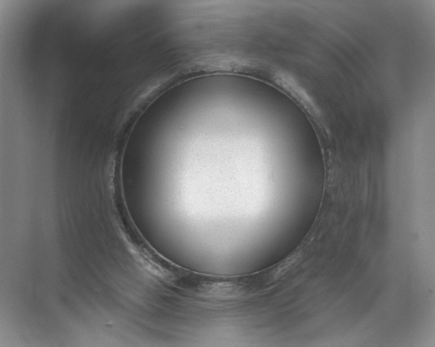 X0000072530058200607290235