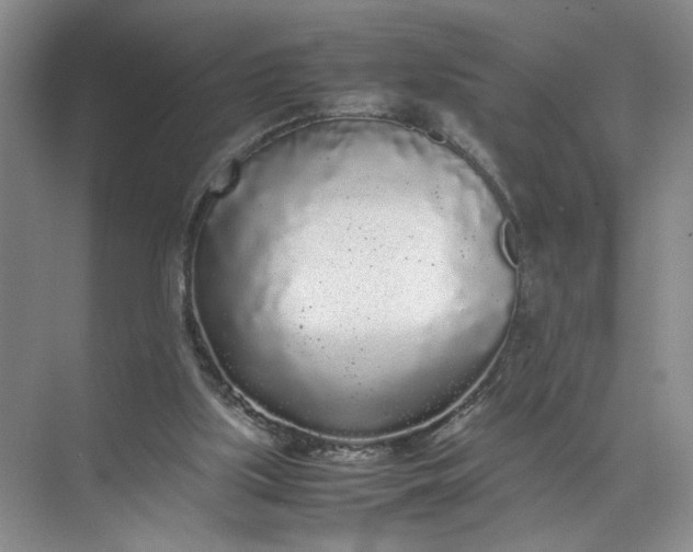 X0000072530059200607290235