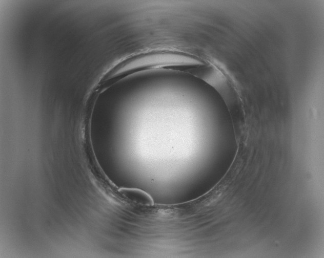 X0000072530060200607290235