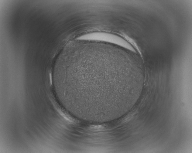 X0000072530061200607290235