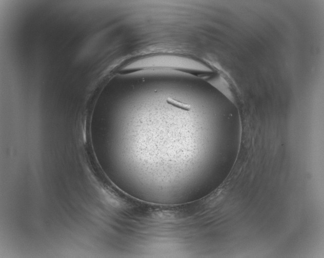 X0000072530062200607290235