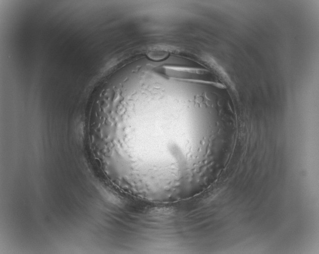 X0000072530063200607290235