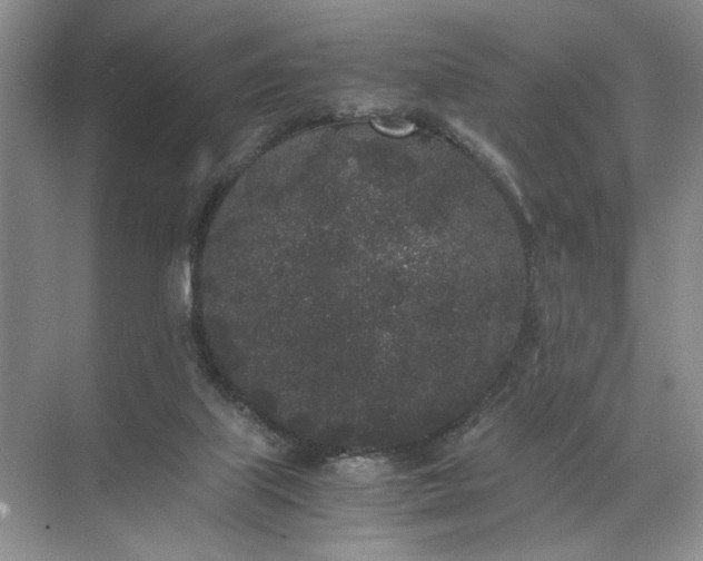 X0000072530067200607290235