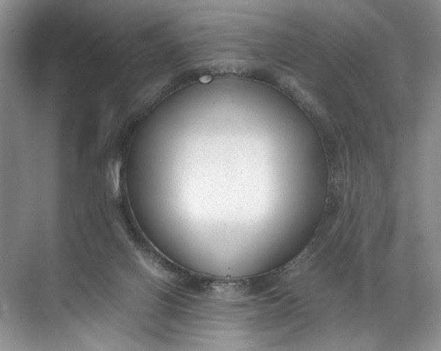 X0000072530070200607290235