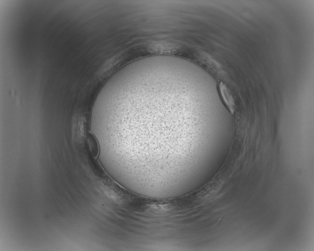 X0000072530071200607290235