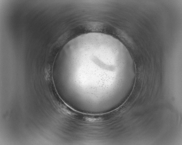 X0000072530073200607290235