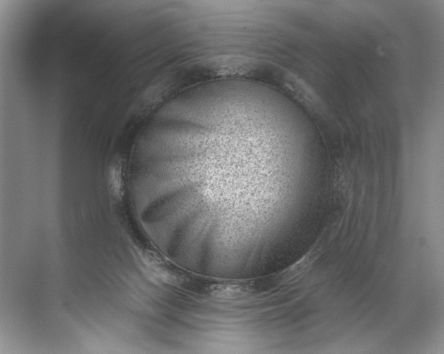 X0000072530074200607290235